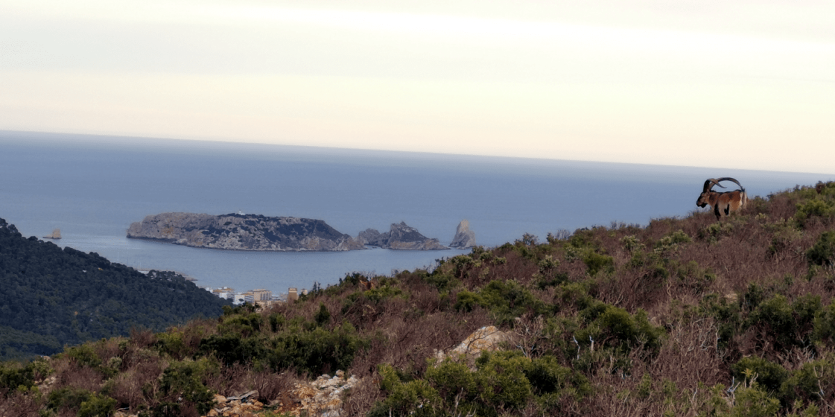 parc naturel du montgri